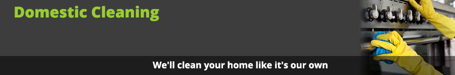 We'll clean your home like it's our own